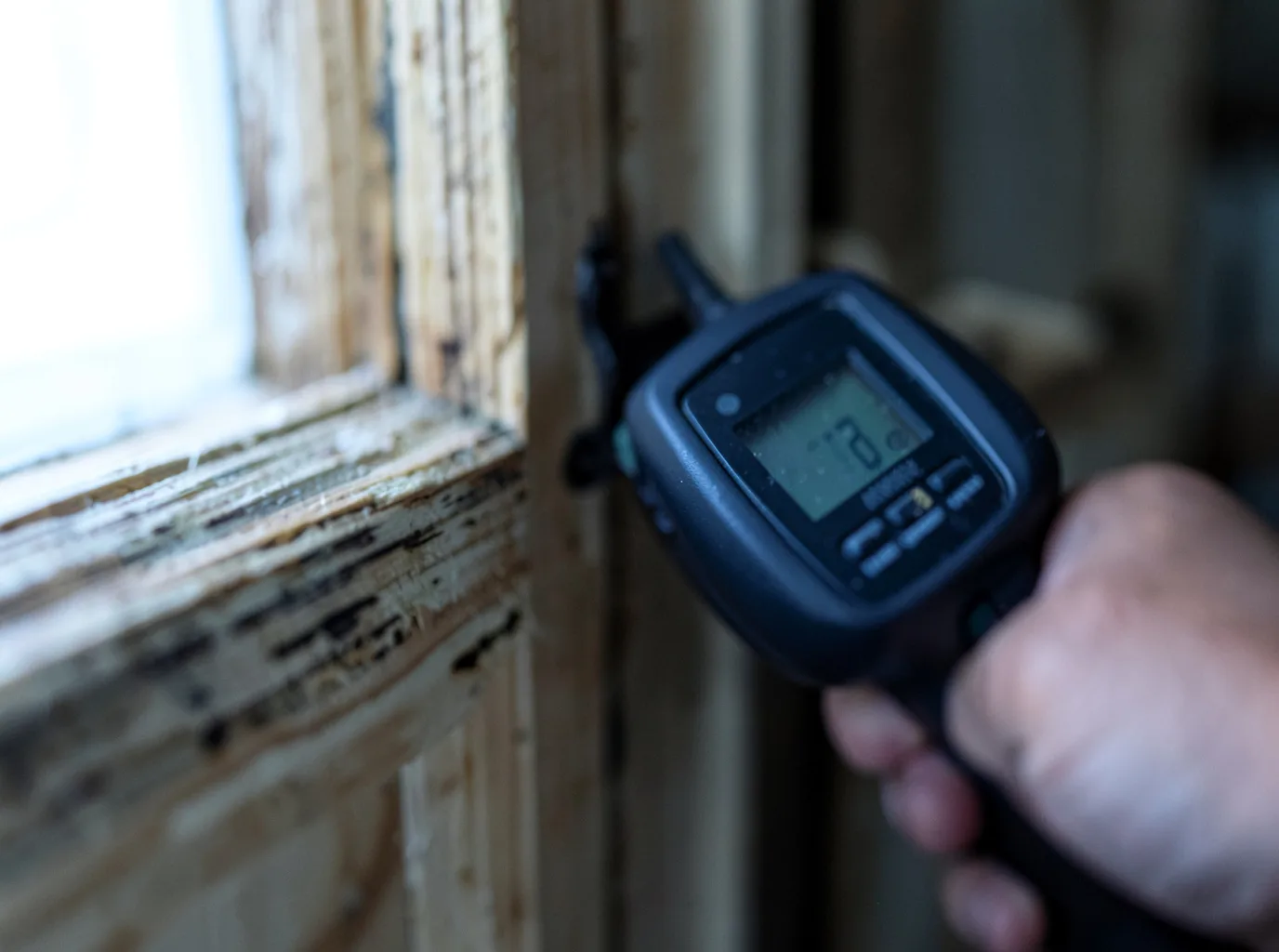 Moisture Inspection And Documentation in La Porte, TX